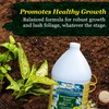 Medina Liquid Fish Blend Quart - 2-3-2 Fertilizer for GRO,