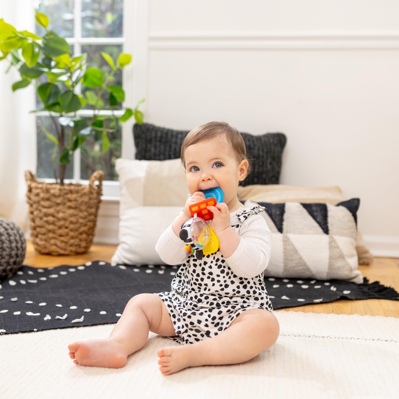 Baby Einstein Shake-a-Shape Zen Teether Toy, Multisensory, Ages 3 Months