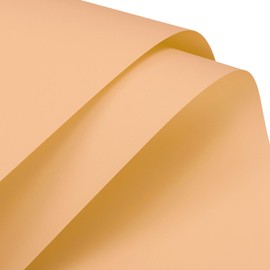 MECCANIXITY Pearlescent Film Flower Wrapping Paper 22.8x22.8 Inch Waterproof for DIY Crafts, Gift/Gift Box Packaging Cream Orange Pack of 10