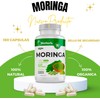 BioHerb. Moringa 100% Pura (180 Capsulas 500mg) - [Potente SuperFood]