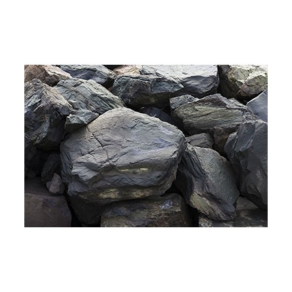 Aquarium Background - Intense Rock - Detailed - 3D Look