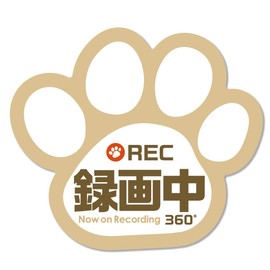 Recording, Sticker, Paw Sticker, 3.5 x 3.1 inches (9 x 8 cm), Vehicle with Dash Camera, Prevents Driving, Waterproof, Waterproof, For Dogs and Cats, For Those Who Love (Sticker, Recording (Beige))
