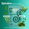 Vivio Foods, Spirulina Orgánica En Polvo, 200 gramos
