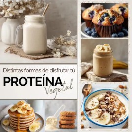 Proteina Complex Vainilla Mexicana  7 Fuentes vegetales  Probioticos  Enzimas  Alta Absorción y Digestión Ligera Sin Lácteos  Perfil Aminoácidos...   