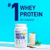 LeanFit WHEY Protein Natural Vanilla – 100% Whey Protein Powder,