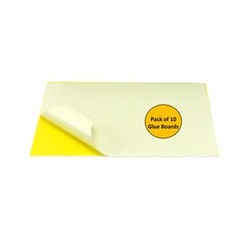 Awoco Pack of 10 Replacement Sticky Type M Glue Boards for Awoco Metal Wall Mount Sticky Fly Trap Lamp Model FT-1M18 - Fits for Other Brands (10 Pcs Type M)