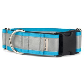 If It Barks - 1.5" Reflective Martingale Collar with Quick Snap Buckle for Dogs - Adjustable - Made in USA - Strong, Durable, and Comfy - Ideal for Training - Fits Most Breeds - Medium, Turquoise