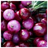 Everwilde Farms - 1 Oz Ruby Red Onion Seeds -
