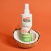 Coconut Oil Leave-in Conditioner by Palmers for Unisex - 8.5