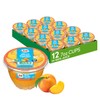 Dole Fruit Bowls Diced Peaches in 100% Juice Snacks, 7oz