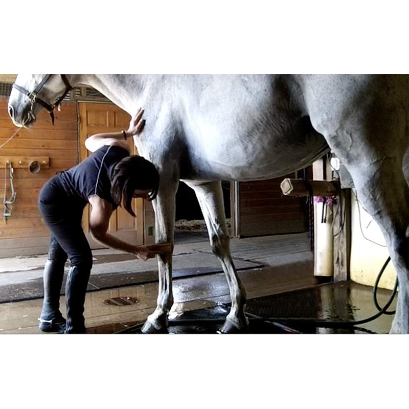 WaterWisk Equine Sweat Scraper for Horses and Ponies. Squeegee for