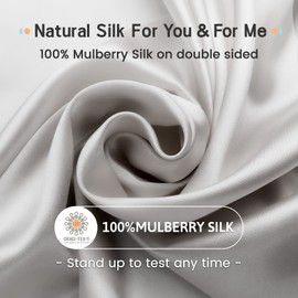 iCooBreeze Silk Pillowcases 100% Mulberry Silk Double Sided, Real Silk Pillow Case for Hair and Skin, Pillow Cover with Hidden Zipper (Queue(20"x30") 2 Packs, Silver Grey)