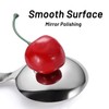 5 Pack Short Handle Scoops - Silver Mini Scoops for