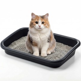 Uiifan Low Entry Cat Litter Box, Black Gray, 16.9 x 12 x 3.15 Inch