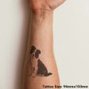 Azeeda 'Sitzender Border-Collie' Temporäres Tattoo - Hautfreundlicher & Ungiftiger Abziehbild