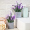 CADNLY Pianta di lavanda artificiale in vaso, fiori di lavanda
