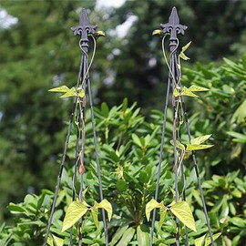 BestNest Achla Fleur-De-Lis Topiary Frames, 58 in Tall, Pack of 2 – Black Wrought Iron Plant Supports for Climbing Plants & Garden Accents