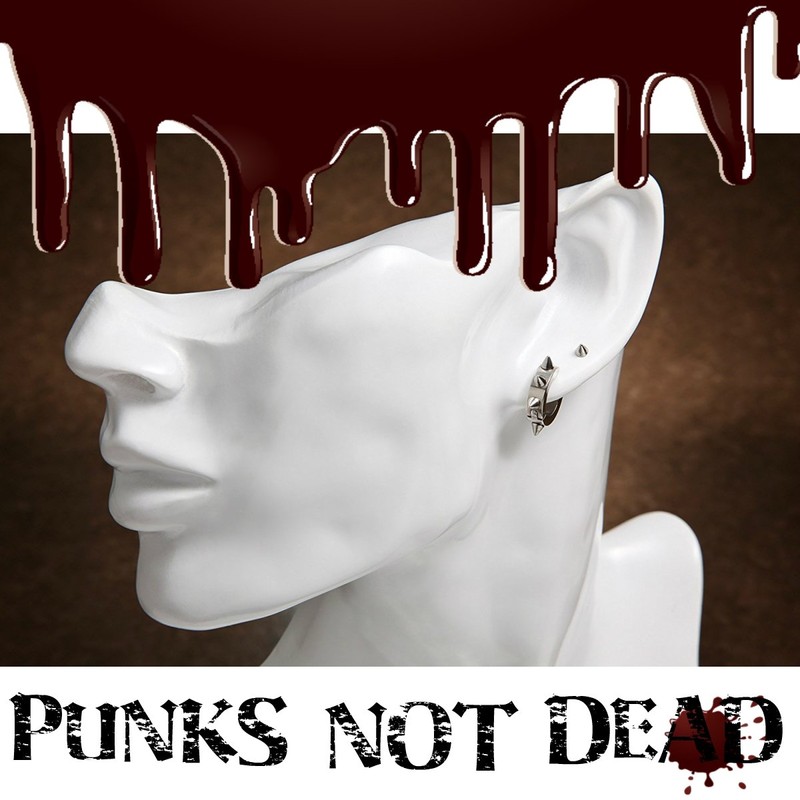 Punk Rock Spike Titanium Earrings, 2 Types, Set for Women,