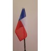 Dynamic LED Texas State Flag (for whip lights)