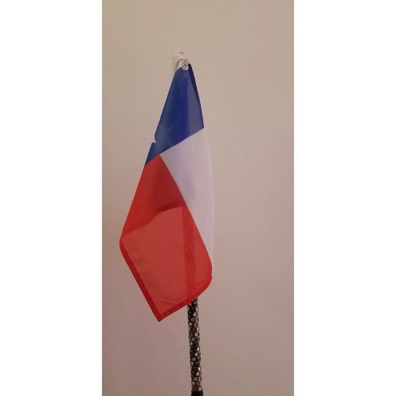 Dynamic LED Texas State Flag (for whip lights)