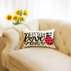 Ogiselestyle Valentine Little Love Bug Ladybug Throw Pillow Cover, 12