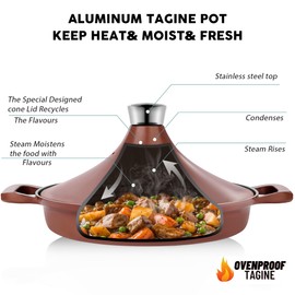 INSETFY Non-Stick Frying Pan/Skillet 11", 3QT Tagine Pan,Cast Aluminum Pans with Lid, Stove/Oven-to-Table Cookware, Dishwasher Safe& Compatible with All Stovetops（Terracotta）