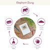 Elephant Dung Notebook | Handmade, Fair Trade & Eco Friendly