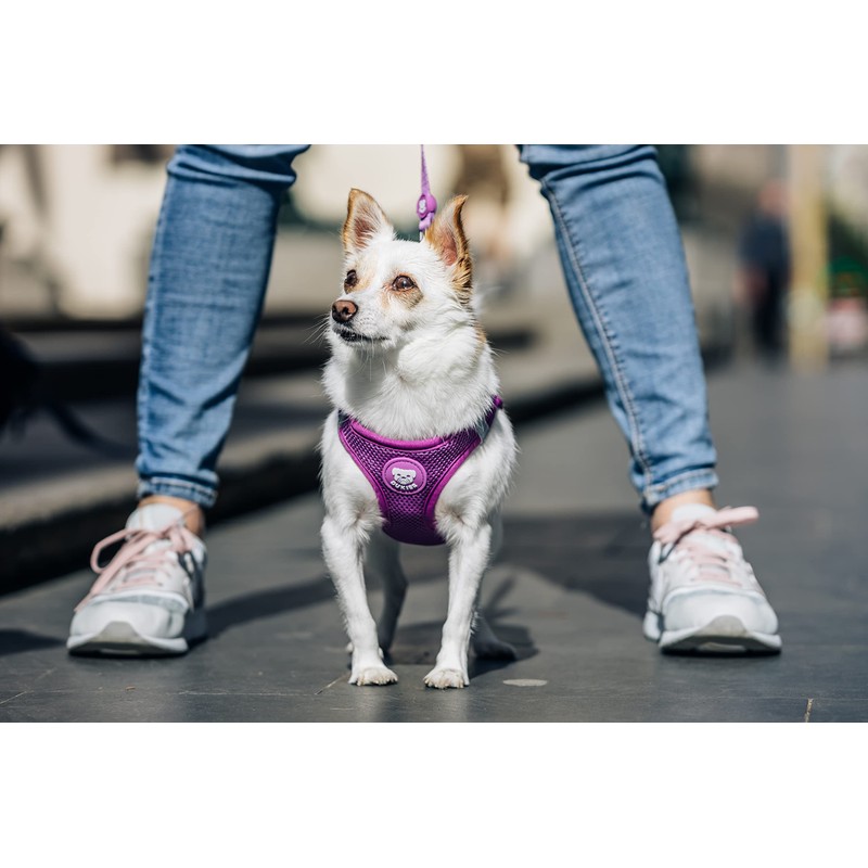 DUKIER - Dog Body Harness, Adjustable and Sturdy Body Armour,