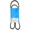 MAPCO V-Ribbed Belts (261138)