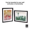 Umbra Frame for Displaying Documents, Diploma, Certificate, Photo or Artwork,
