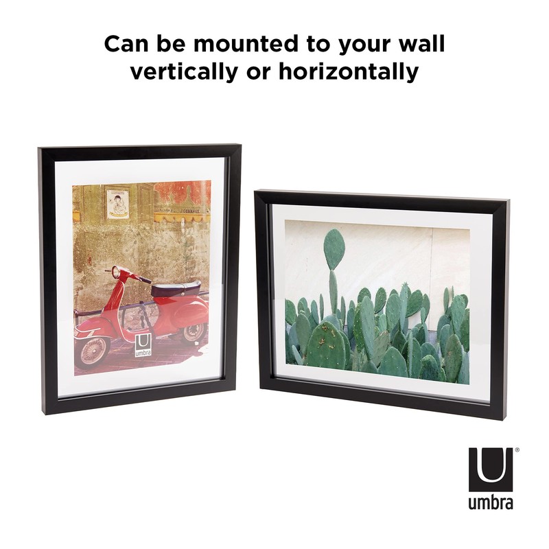 Umbra Frame for Displaying Documents, Diploma, Certificate, Photo or Artwork,