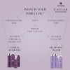 Alterna CAVIAR Anti-Aging Multiplying Volume Shampoo | For Fine, Limp
