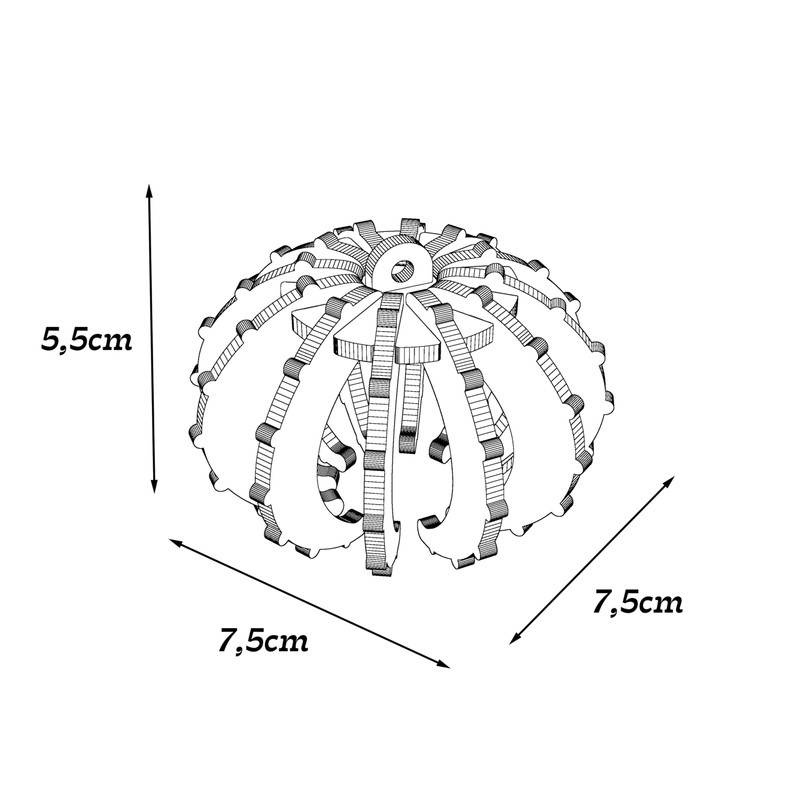 VEKULI Air Plant Holder Sea Urchins Unique Holder for Tillandsia