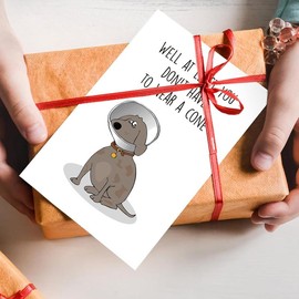 Funny Get Well Cards, Get Well Soon Gifts For Women, Feel Better Gifts For Women, Thinking of You Gifts, Humor Speedy   Card for Him Her Friends Mother - Colour: well 01