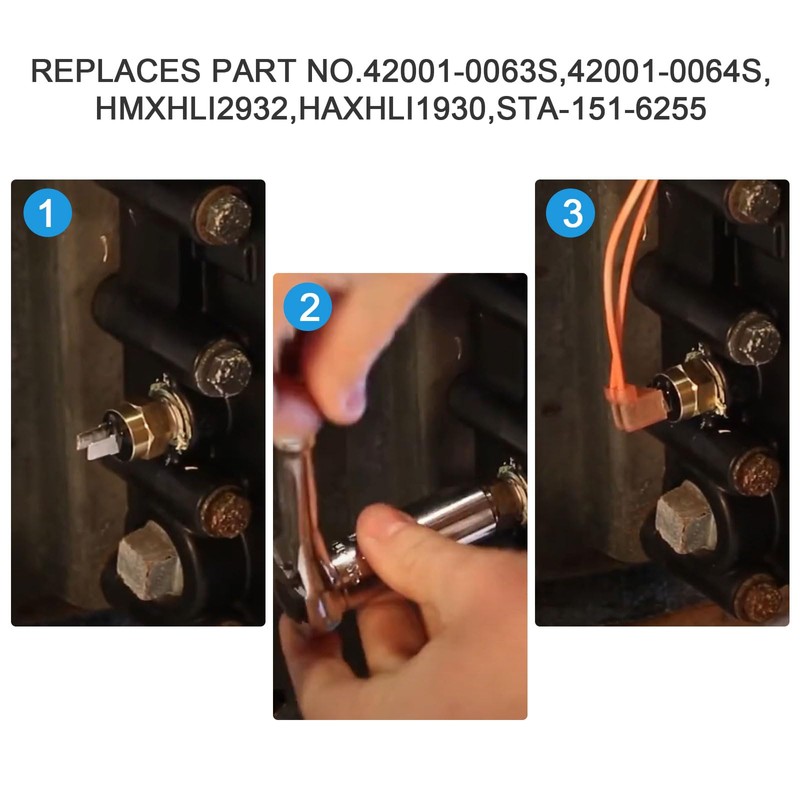 Screw Man 42001-0063S High Limit Switch Compatible with Pentair Mastertemp