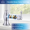 Avola Stainless Steel Kitchen Water Filter Faucet in Chrome, Non-Air