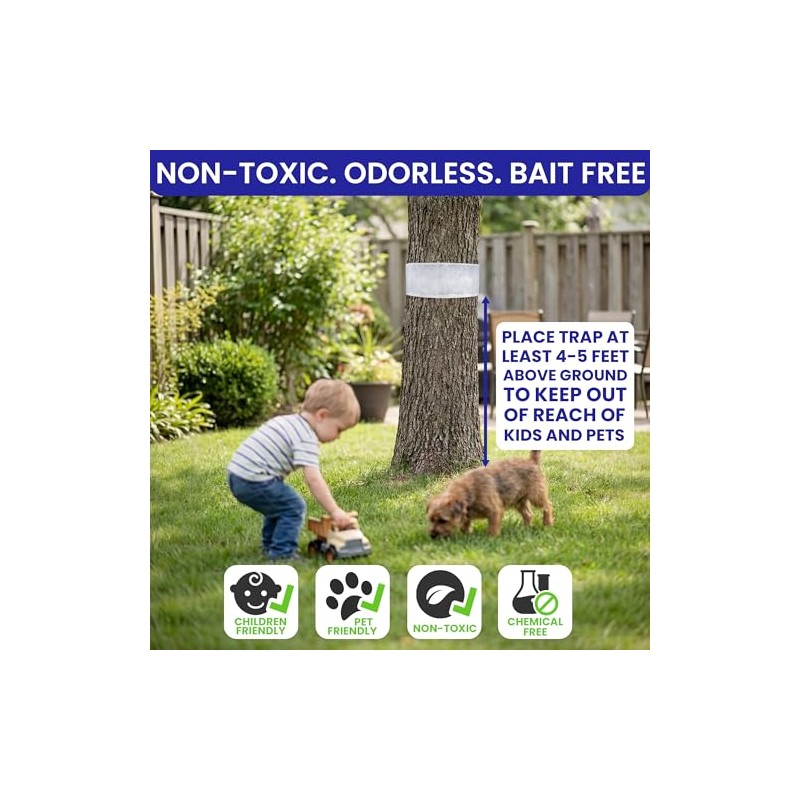 Spotted Lantern Fly Trap for Trees. 3 Sticky Fly Paper