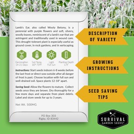 Lamb's Ear Seeds for Planting - 1 Packet with Instructions to Plant & Grow Lambs Ear Plant, Shade & Drought Tolerant Wooly Betony in Your Home Garden - Non-GMO Heirloom Variety - Survival Garden Seeds