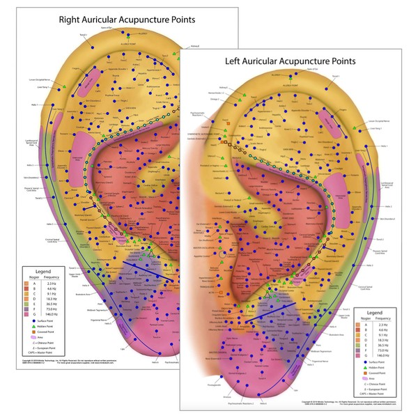Ultimate Auriculotherapy Reference Card, Showing All Ear Points, Areas, Sequences and Nogier Frequency Zones [Waterproof, 2-Sided, 8.5x14 inches]