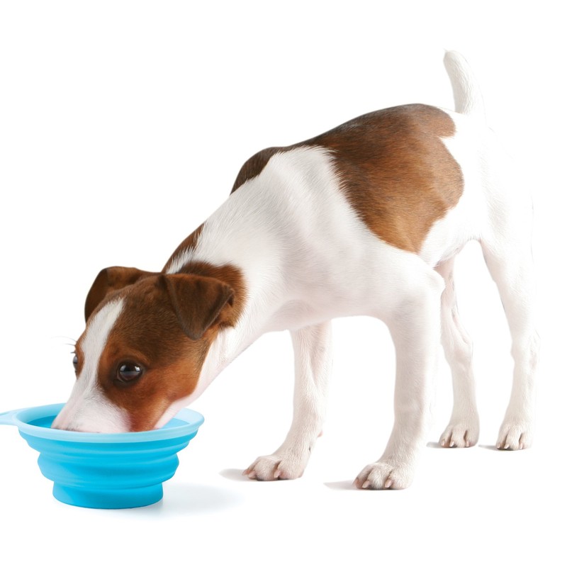 Popware Popware Flat Bowl, Blue, L Size