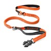 Heavy Duty Tactical Dog Leash with Quick Release Carabiner and