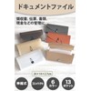 SIMPS Document File (13 Pockets) For Managing Receipts / Vouchers