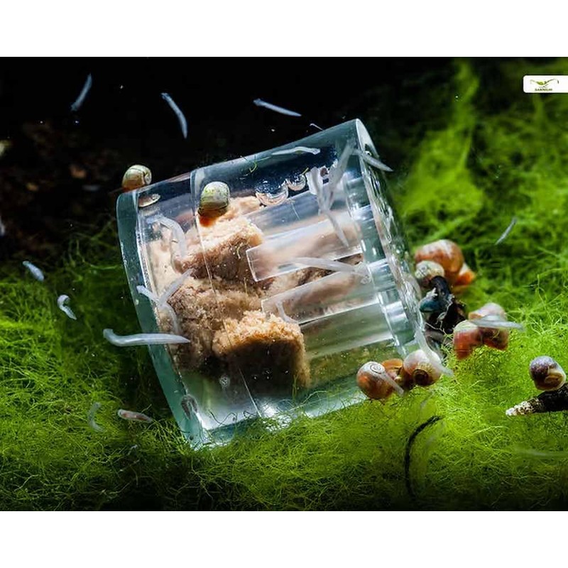 Biotope Aquatics Ltd - Aquarium Shrimp Keeping Foods & Accessories