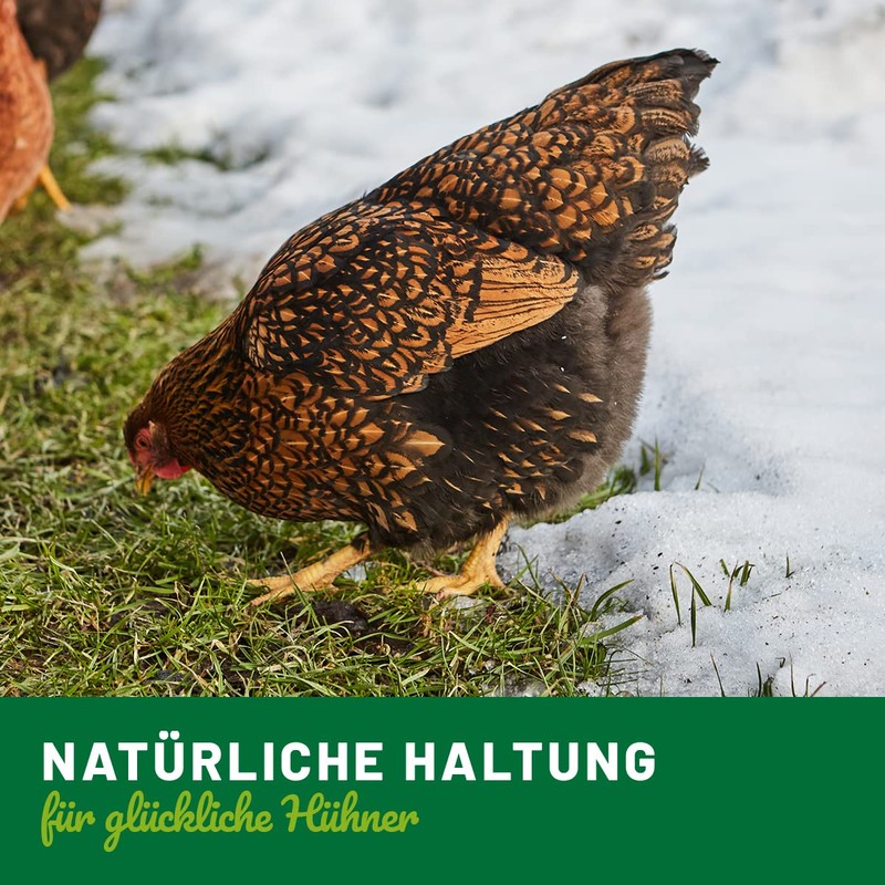 HÜHNER Land Winter Bronchi Liquid 20 ml for Chickens I
