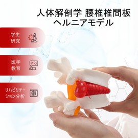 HYEANHLPYE Human Anatomical Lumbar Herniated Model, Portable Lumbar Model, Movable Demonstration of Lumbar Compression, 1.5x Real Time, Medical Demonstration of Lumbar Disc, Educational Aid, White
