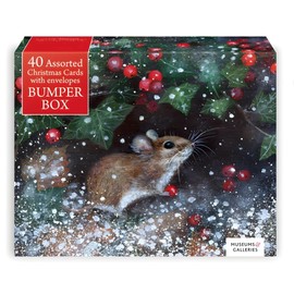 Assorted Christmas Cards - Box of 40 Festive Cards and Envelopes - Made in the UK - Eco-Friendly