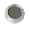 Pearl Eyeshadow Blush 2g Jar 745 Pearl Grey Green Professional