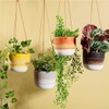 Sass & Belle Mojave Grey Hanging Planter