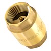 Poppstar Check Valve 1 Inch (Brass, Rustproof & Waterproof) for