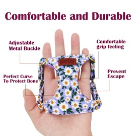 No Pull Dog Harness Adjustable Small Dog Harness and Leash Set, Lightweight and Soft pet Harness No Choke Escape Proof Pet Harness Vest (Purple Daisy, XX-Small)